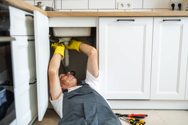 Best Plumbing Inspection Services  in Cascade Chipita Park, CO